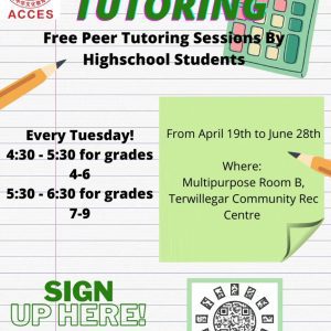 Youth-Led Peer Tutoring